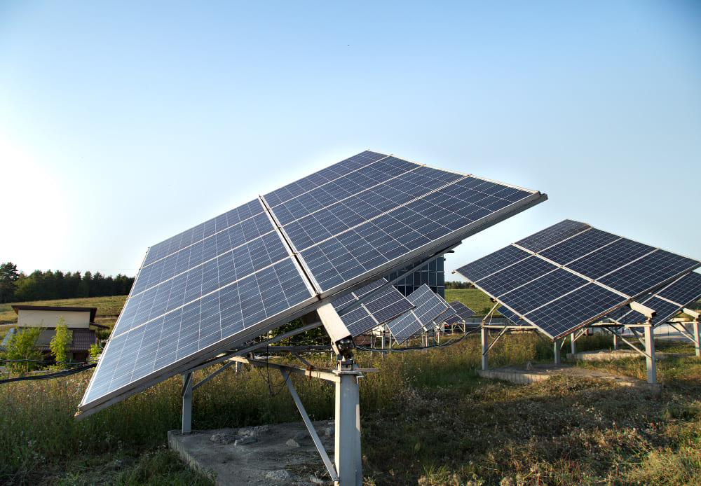 why solar panel thrive in essex